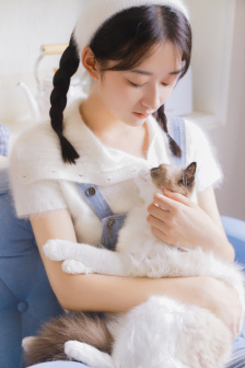 完美世界动漫免费观看完整版